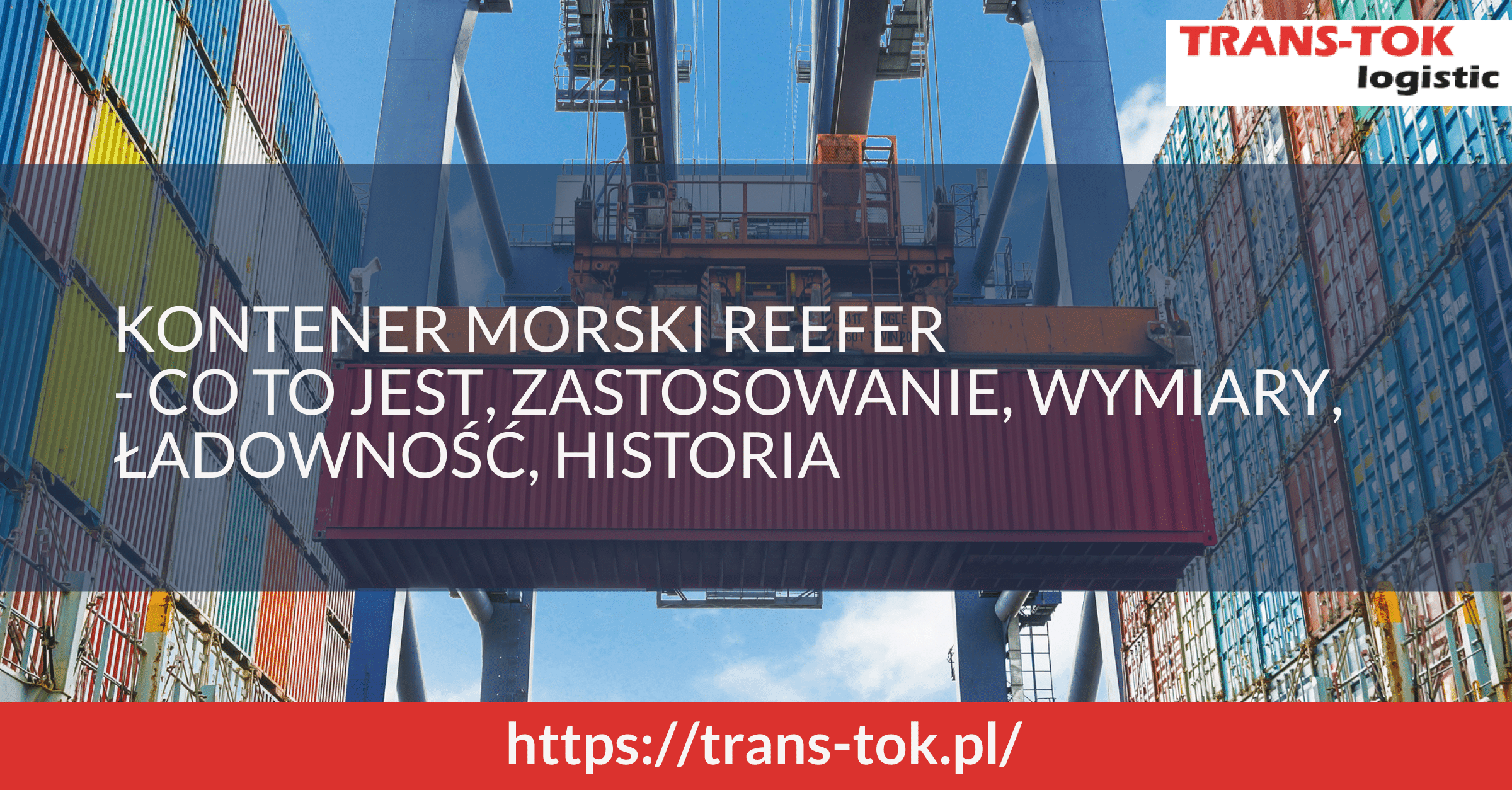 Reefer Sea Container – What Is It, What Is Its Application, Dimensions and Load Capacity, History